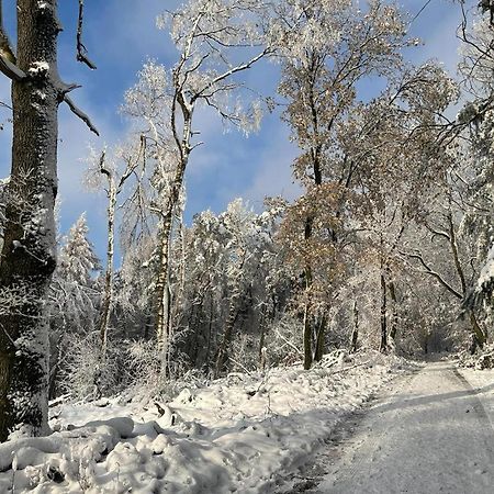 Haus Astenblick In Winterberg Fuer Bis Zu 35 Personen Fuer Wanderveranstaltungen Und Familienfeiern Kültér fotó